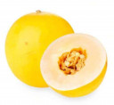 Sun Melon - Malaysia * Kg
