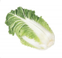 Chinese Cabbage - China * Kg