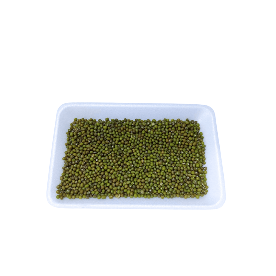 Kacang Hijau