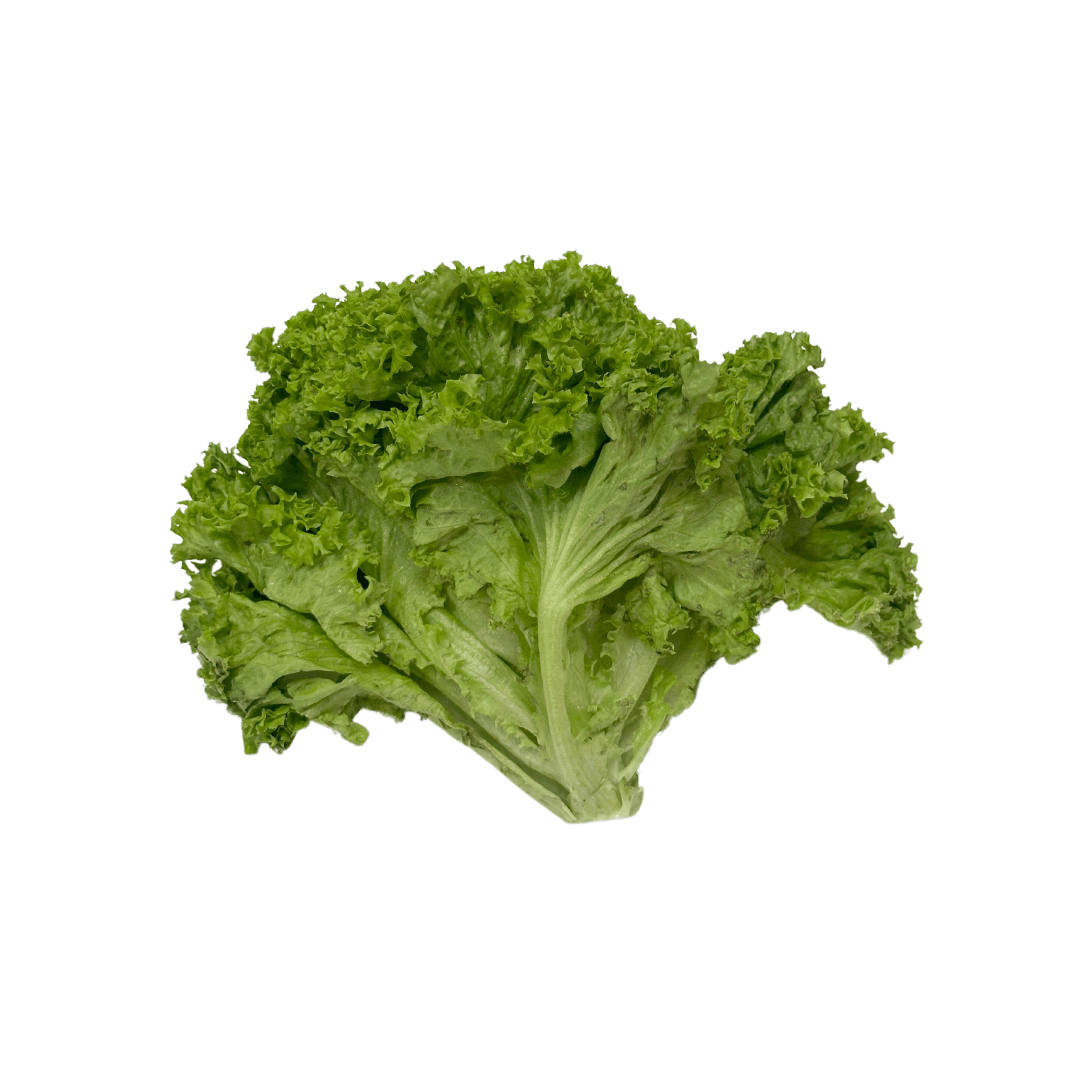 Sayur Salad