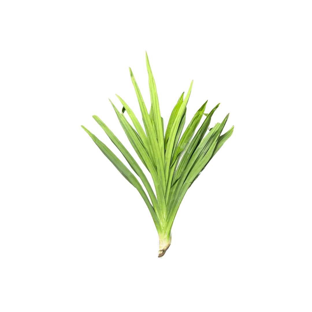 Daun Pandan
