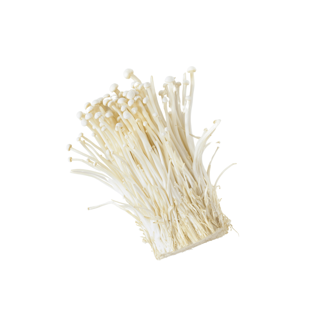 Enoki