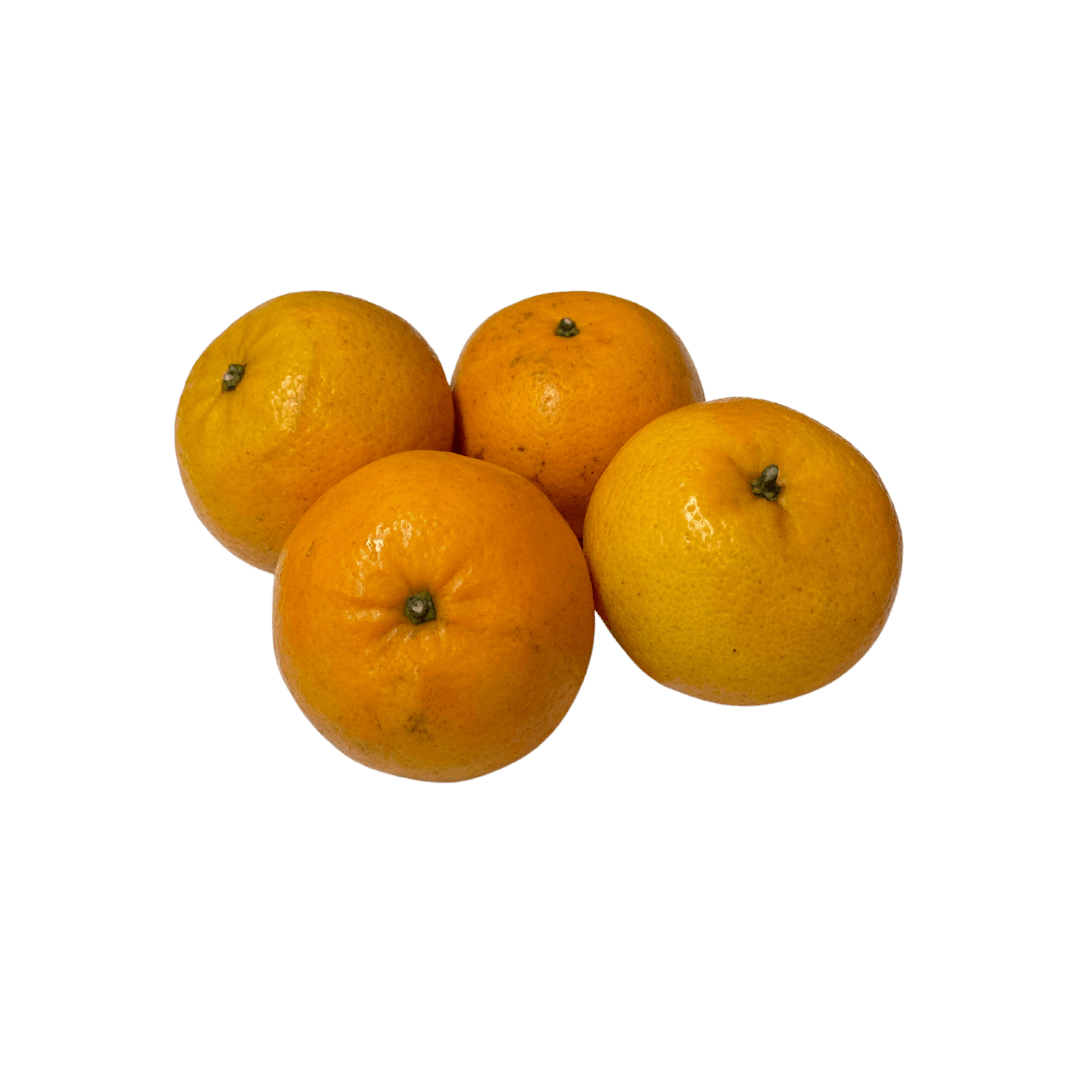 Mandarin Kecil