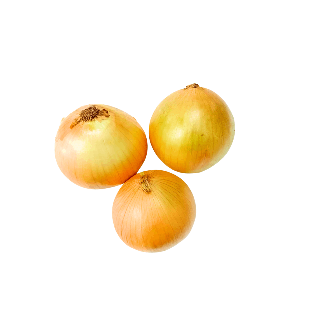Bawang Holland