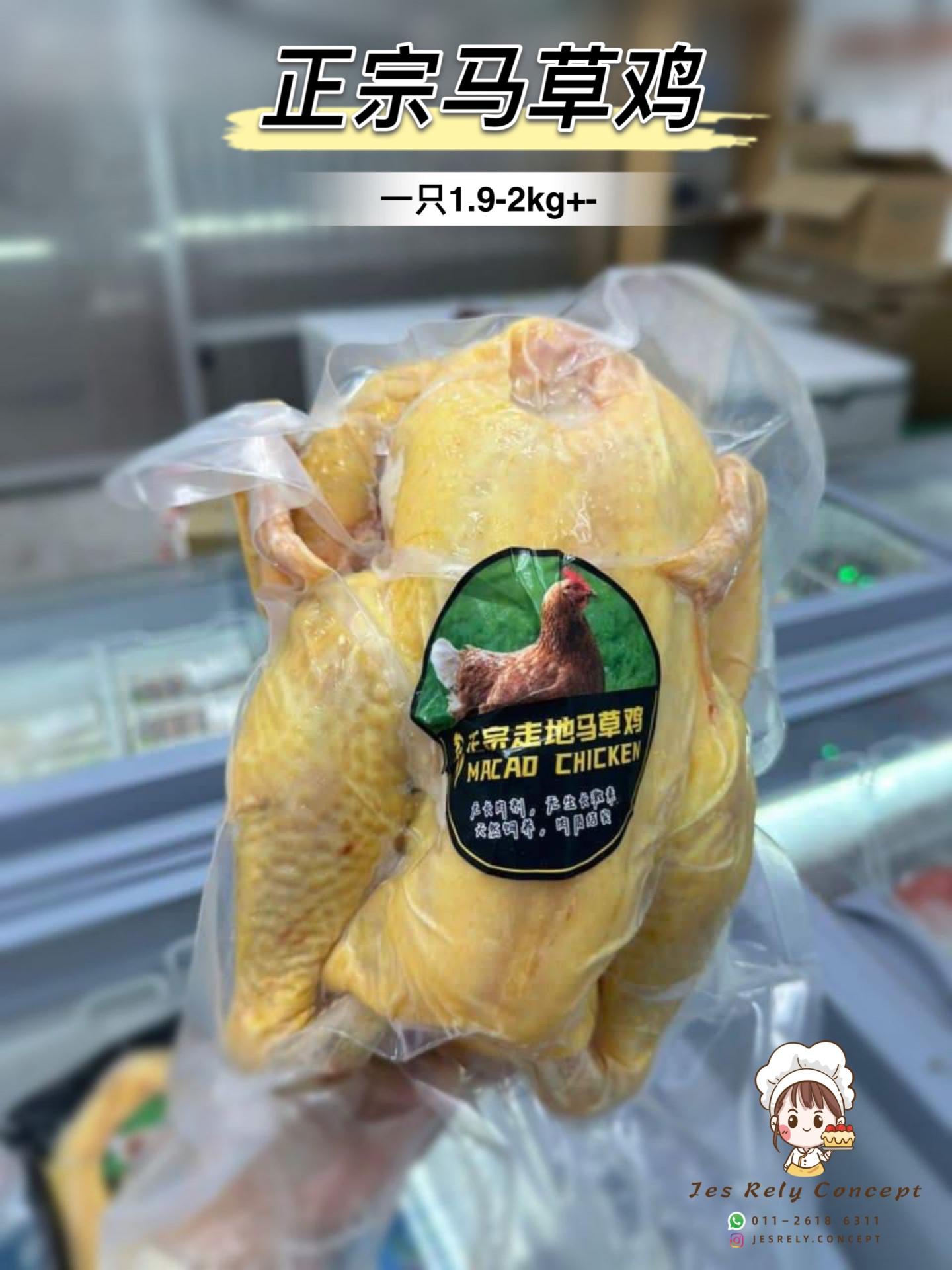正宗马草鸡 Macao Chicken