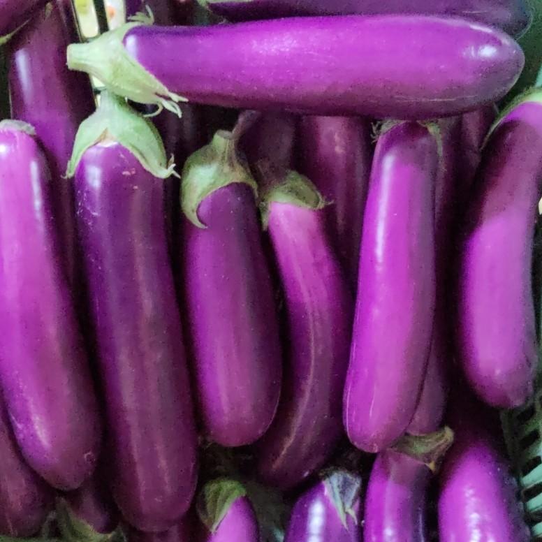 Terung Panjang 900g-1kg