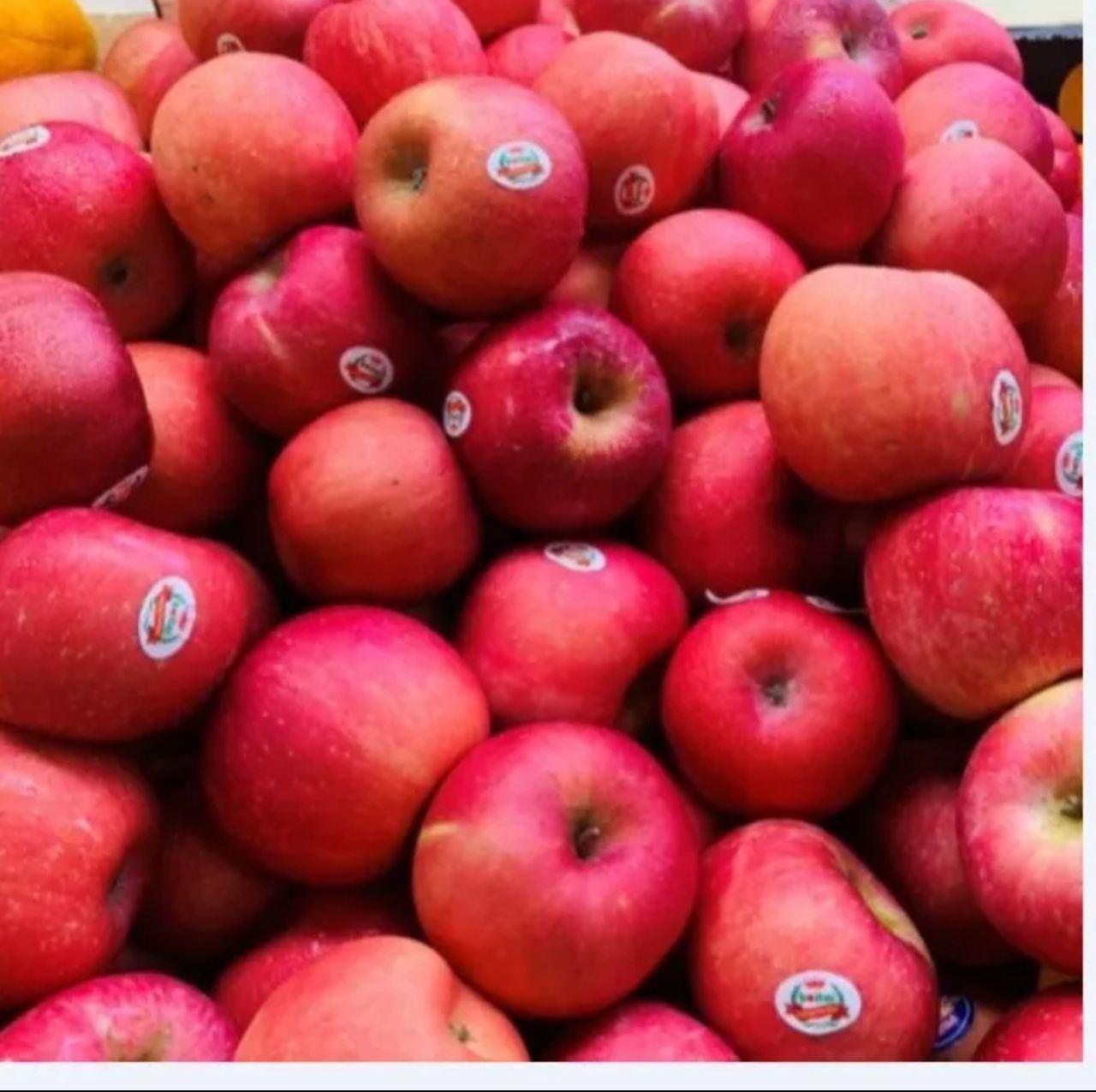 Fuji Apple (Size:M) 3's