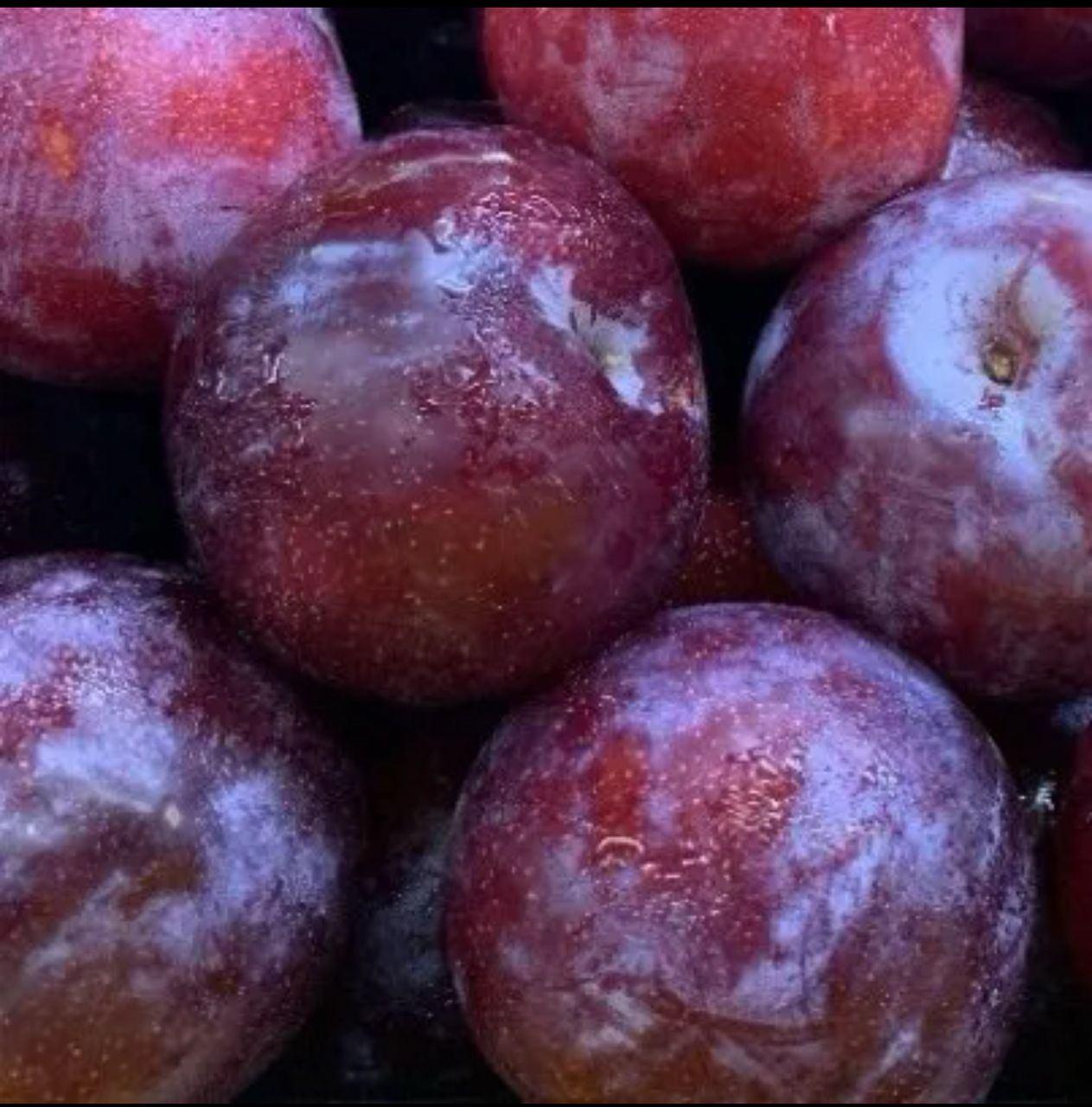 Red Plums (Aust.) (Size:L) +- 0.5g