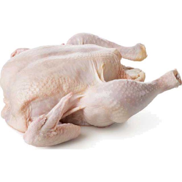 Ayam Dara (1.1-1.2kg)
