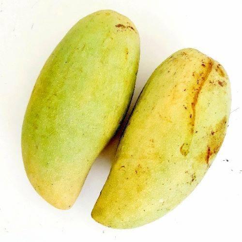 Golden Mango ±650g (L)