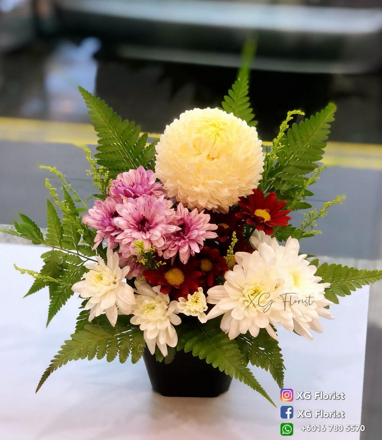 追思菊花盆栽 Memorial Flower Pot – Chrysanthemum Tribute