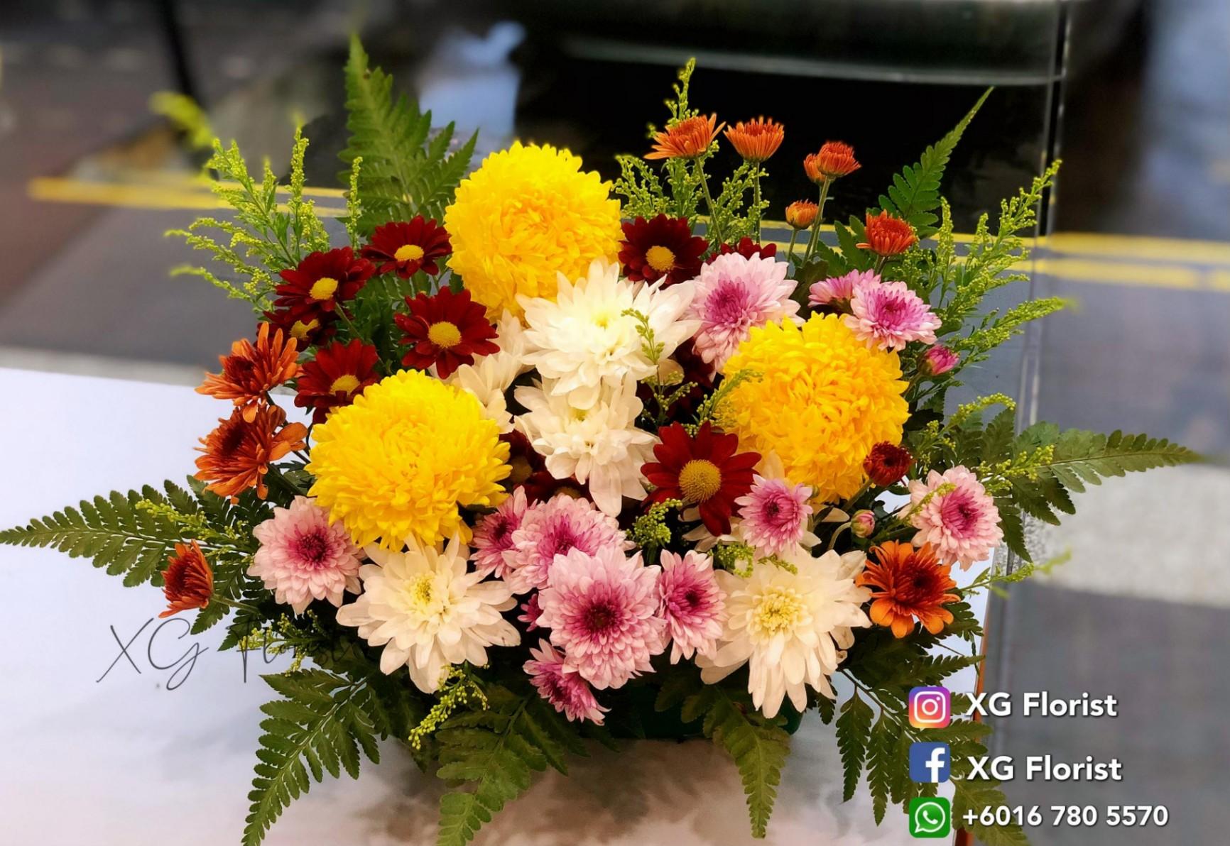 追思菊花盆栽 (中）Memorial Flower Pot (Medium) – Chrysanthemum Tribute
