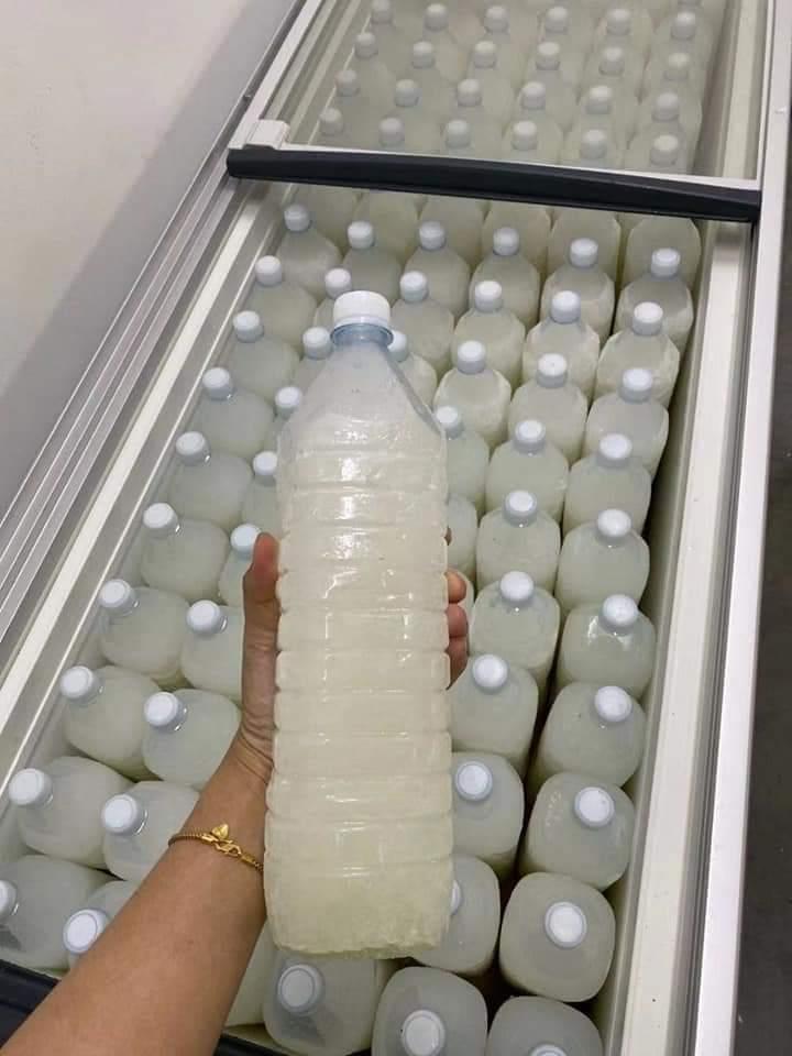 🥥椰花酒🍻