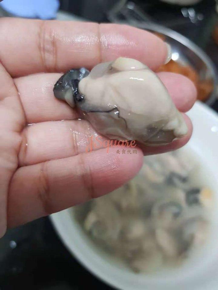 生蚝 Fresh Oyster