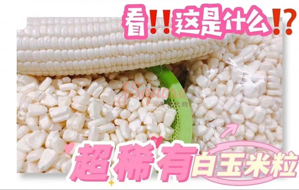白玉米粒 White Corn Kernels