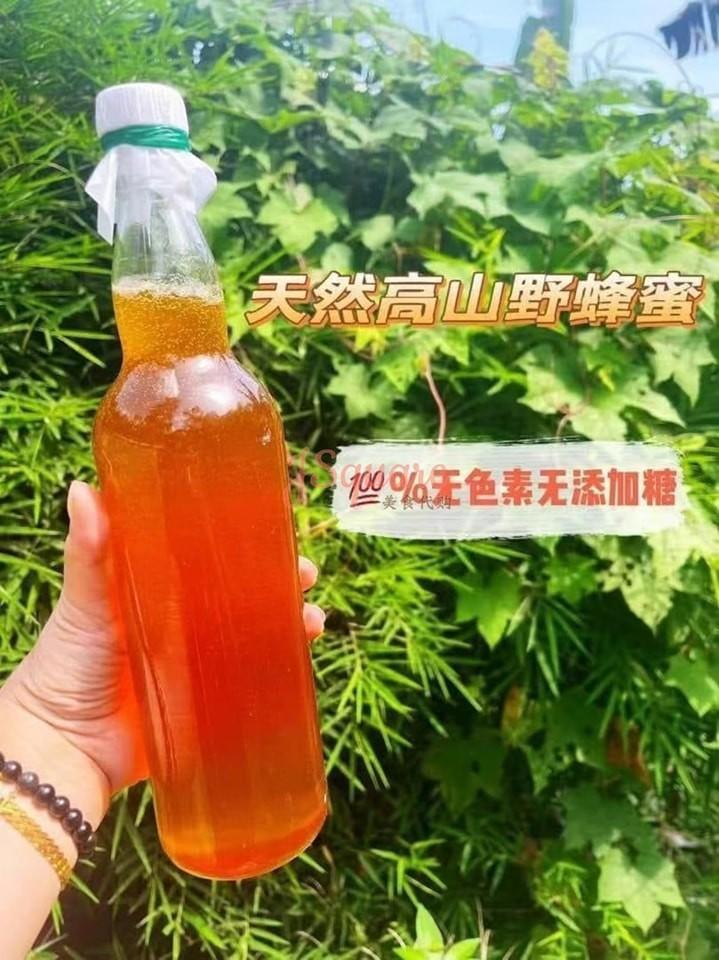 纯正野生蜂蜜 Original Wild Honey