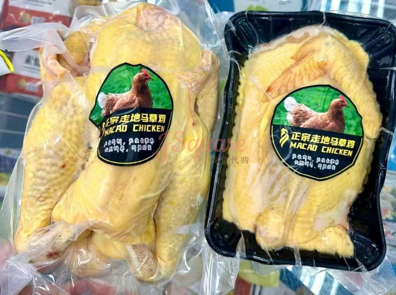 正宗走地马草鸡 Original Free Range （Macao) Chicken