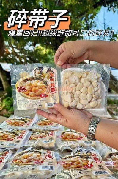 碎带子 Broken Scallop