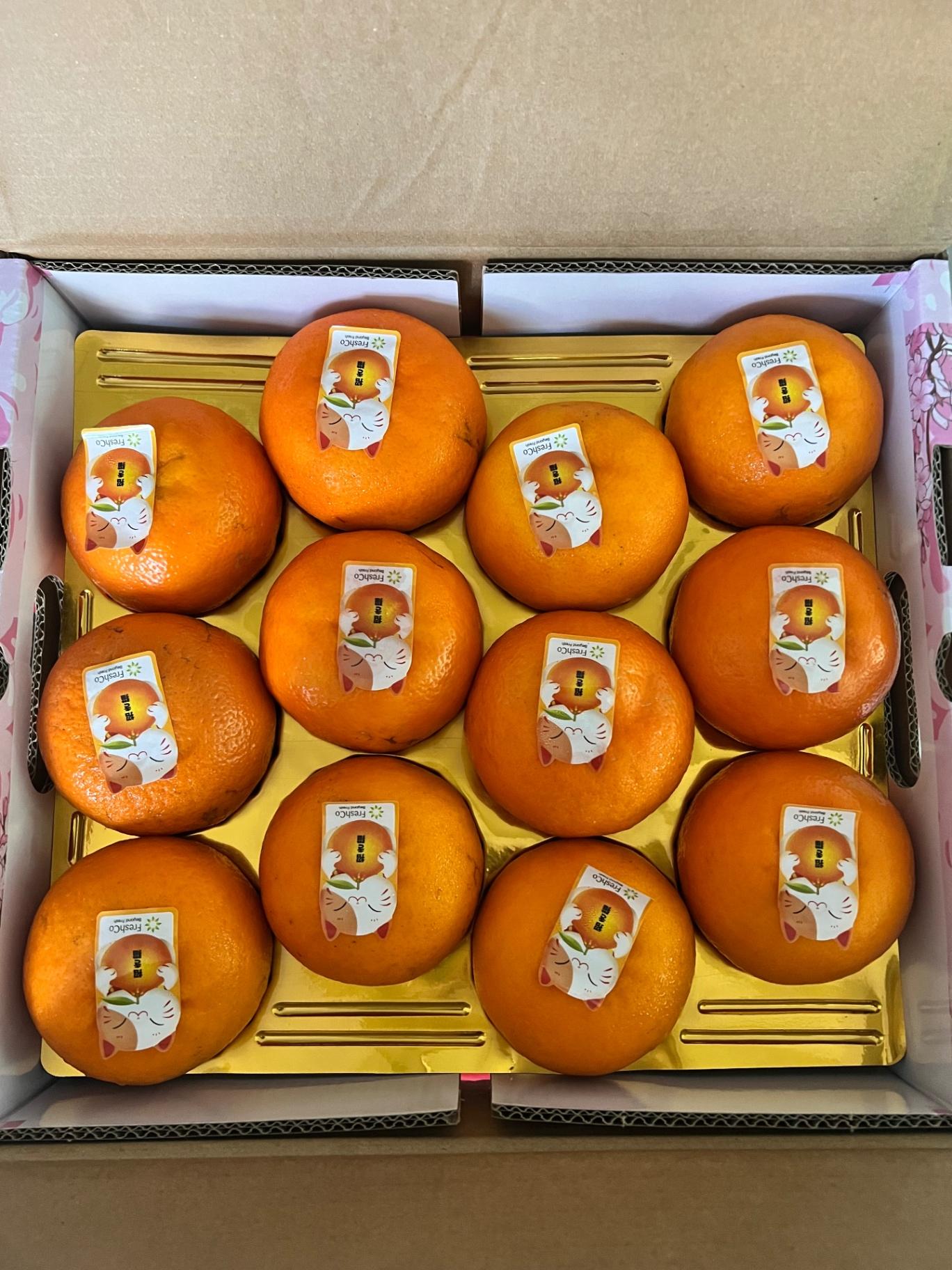 Sakura Mikan 12 pcs sz XL