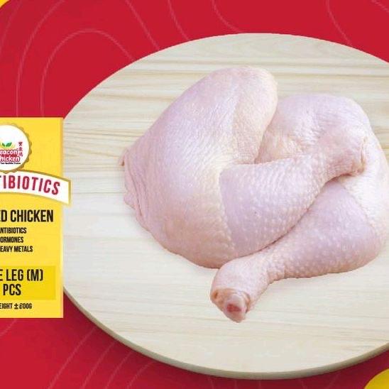 Chicken Whole Leg Sz L 2 pcs