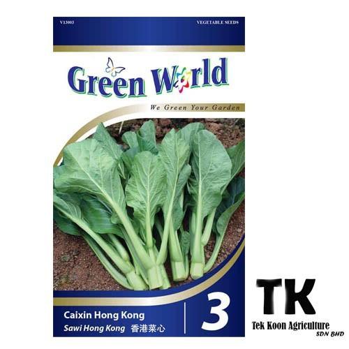 Caixin Hong Kong | Sawi Hong Kong | 香港菜心 GW3 Bernih sawi Hong kong