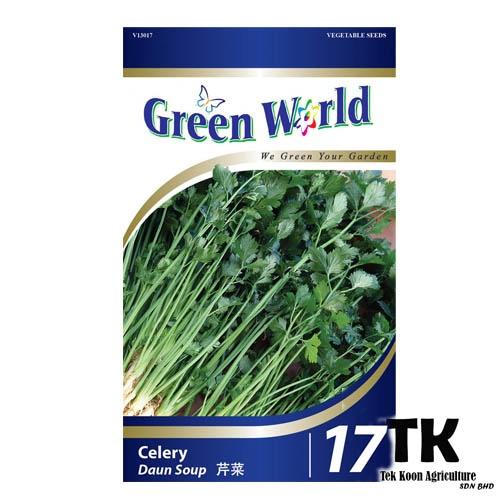 Celery |  Daun Sup | 芹菜 Benih Daun Sup GW 17