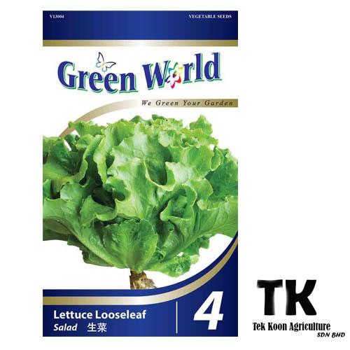 Lettuce Looseleaf | Salad | 生菜 GW4 Benih Salad