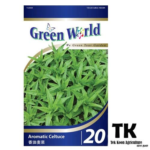 Aromatic Celtuce Seed | Sawi Wangi | 香油麦菜  Benih Sawi Wangi GW 20