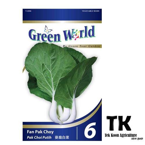 Fan Pak Choy | Pak Choi Putih | 葵扇白菜 GW6 Benih Pak Choi Putih