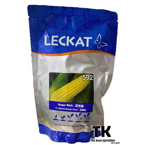 Benih Sugar Rich | F1 Hybrid Sweet Corn Sugar Rich | Leckat 592 -500g