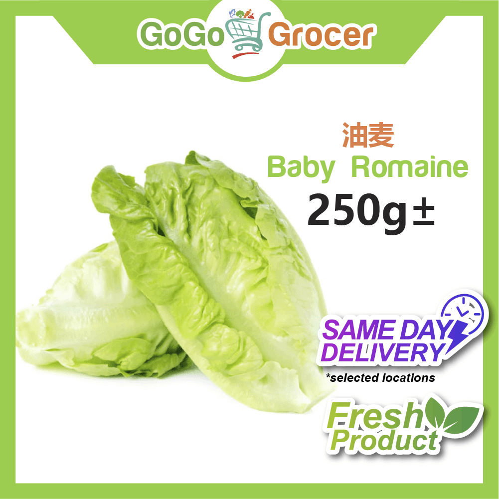 Baby Romaine 油麦 (250g±)
