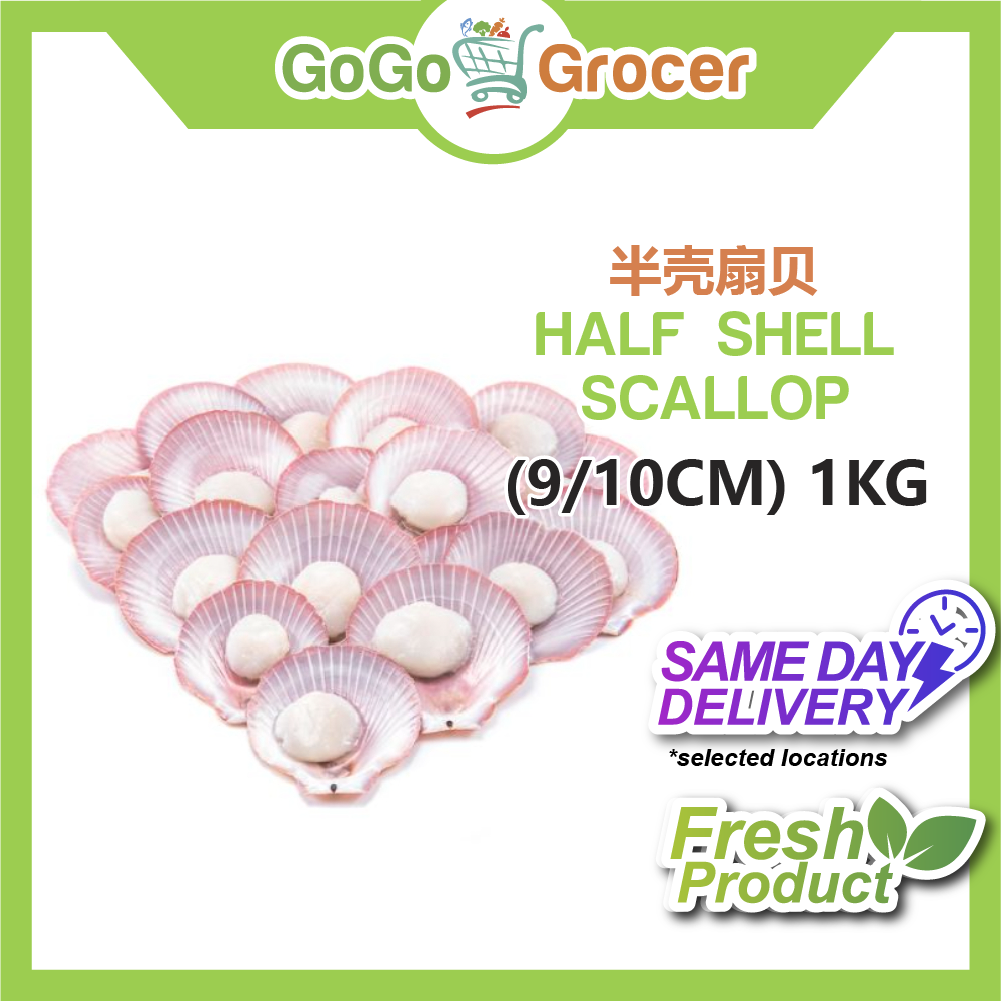 HALF SHELL SCALLOP (9/10CM) 1KG