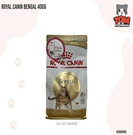 Royal Canin Dry Cat Food