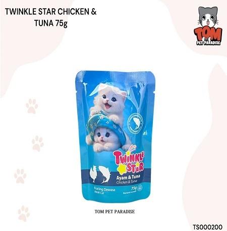 Twinkle Star Pouch