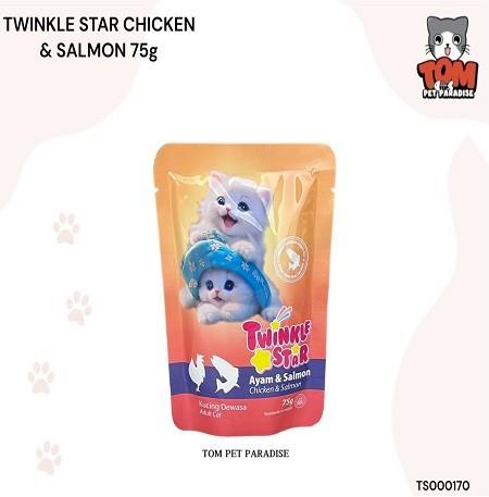 Twinkle Star Pouch