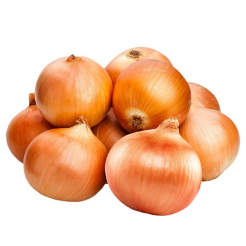 黄大葱 Bawang kuning 600-700G