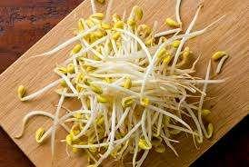 大豆芽 Taugeh besar
