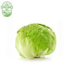 玻璃生菜 Iceberg 400-500G