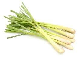 香茅 serai
