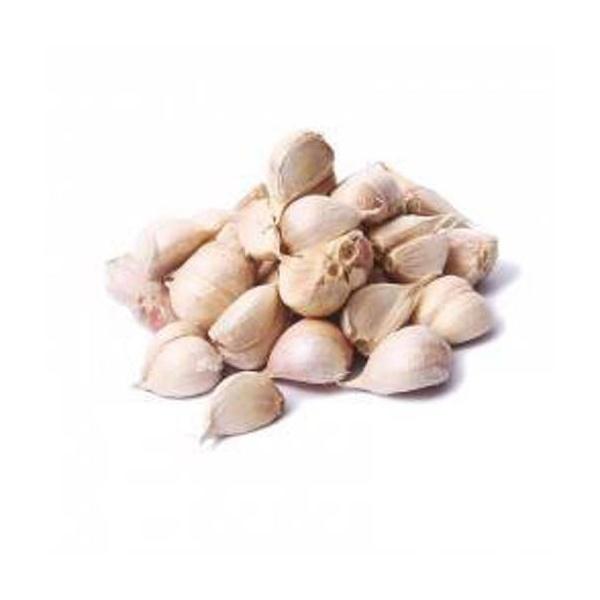 老蒜 garlic tua