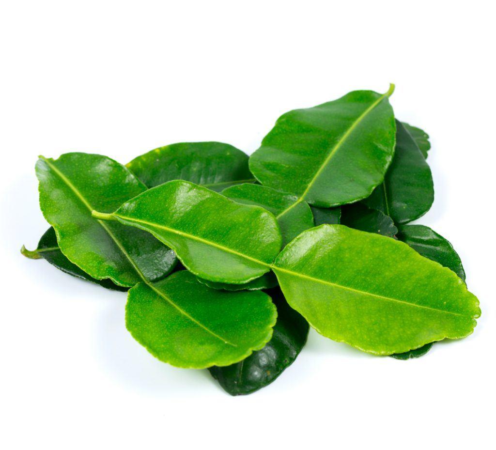 柠檬叶 lime leaf