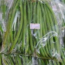 毛豆苗 baby buncis