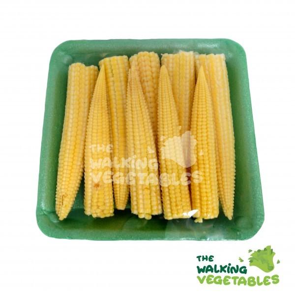 玉米芯 jagung muda
