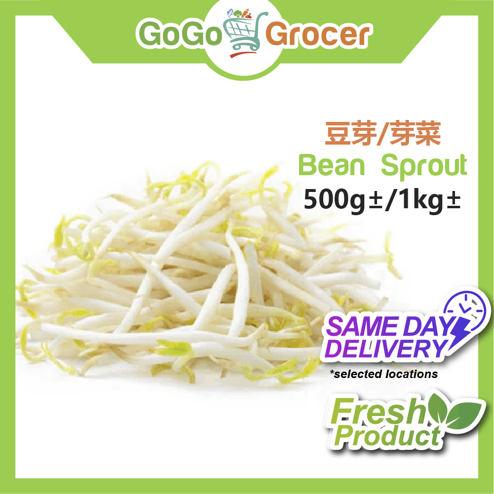 Fresh Bean Sprout / Taugeh 豆芽 / 芽菜 (500g or 1kg)