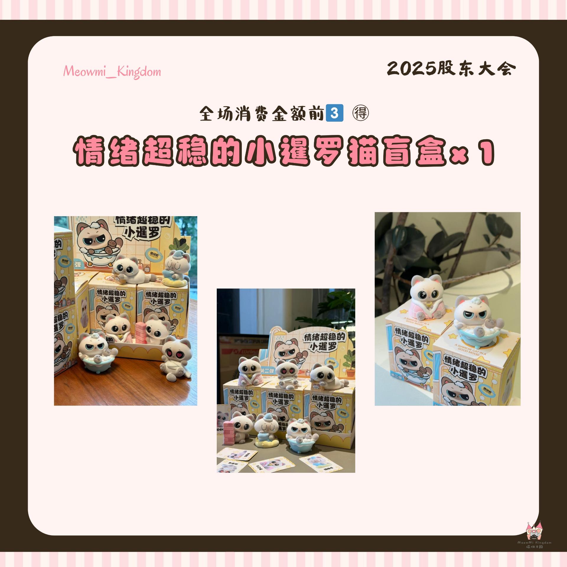 【股东大会福利⭐ - 4️⃣】全场消费金额前3️⃣🉐情绪超稳的小暹罗猫盲盒x 1