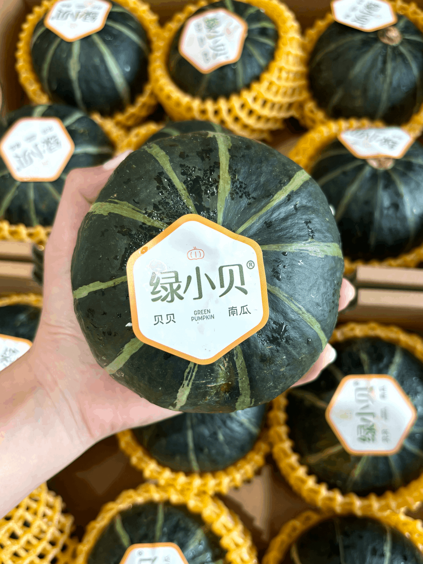 贝贝南瓜