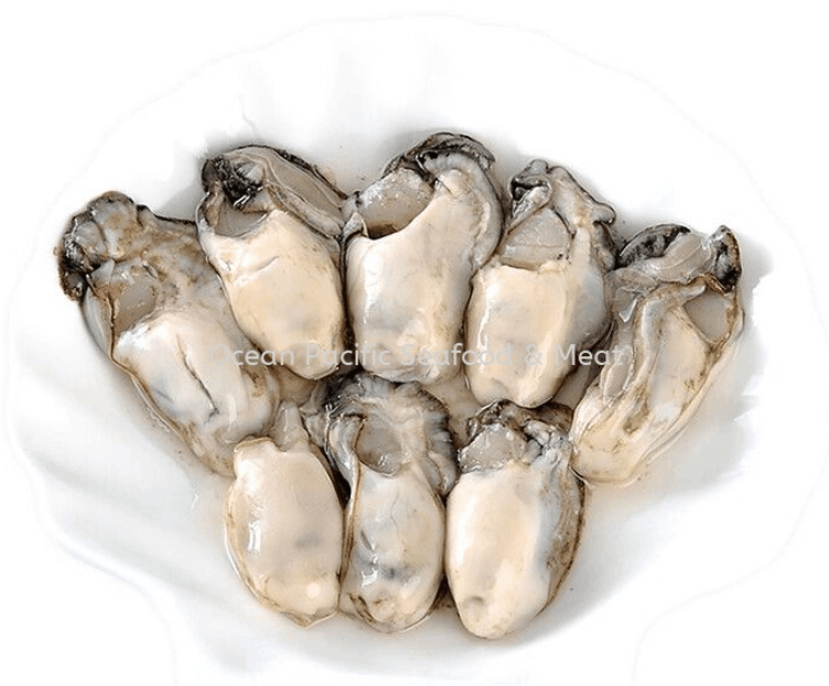 蚝肉Korea Oyster Meat