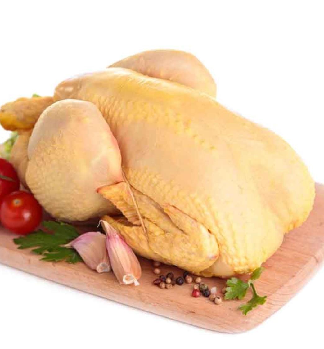 Napier Grass Chicken 马草鸡 1.80-2.20kg