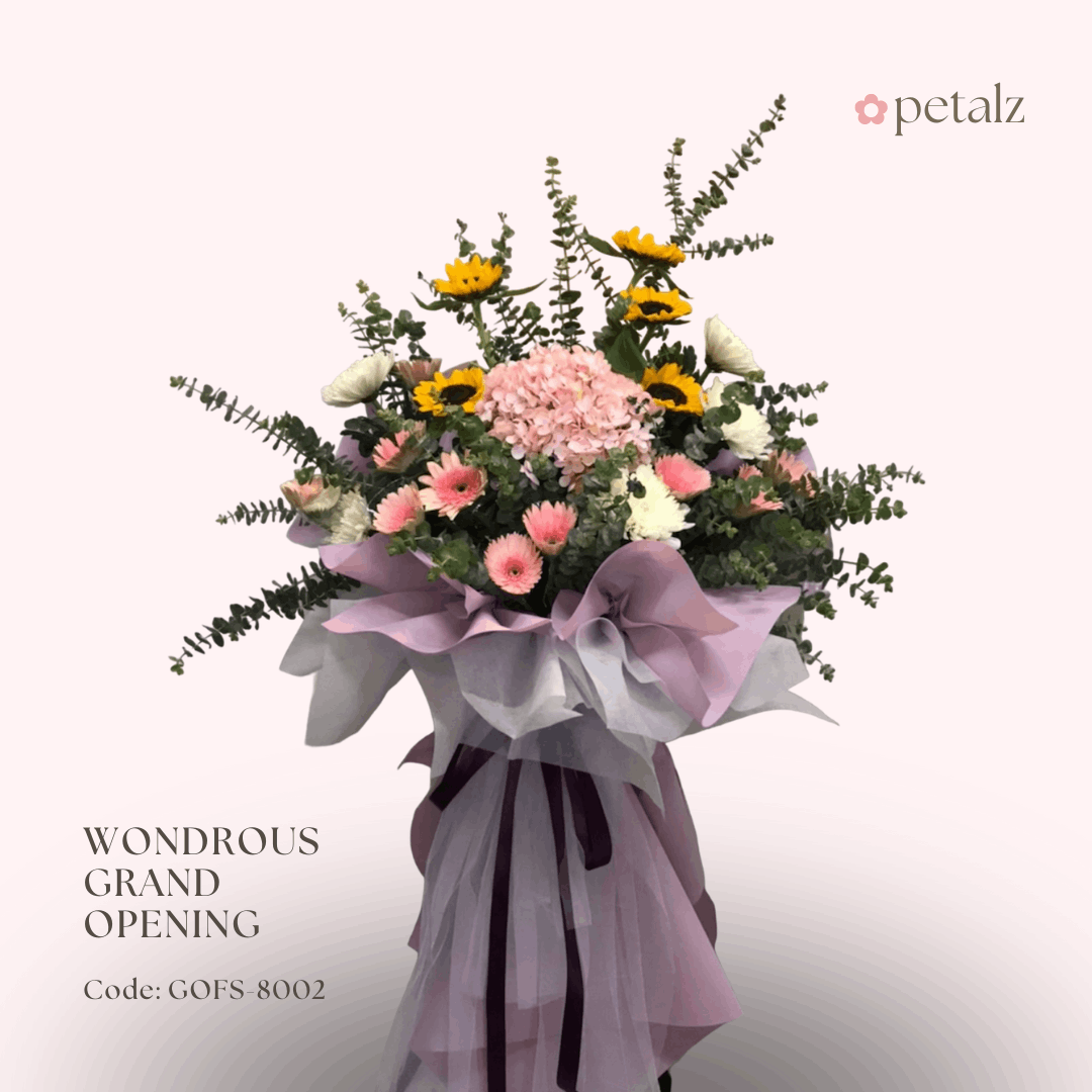 Wondrous Grand Opening