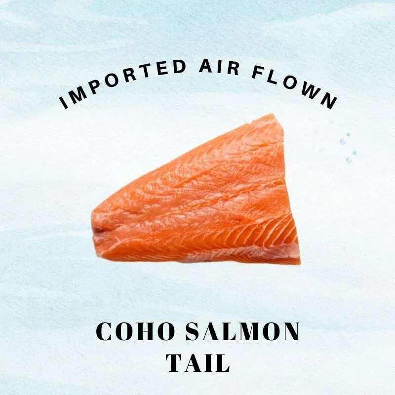 Chile Coho Salmon Tail 智利三文鱼鱼尾- (270G)